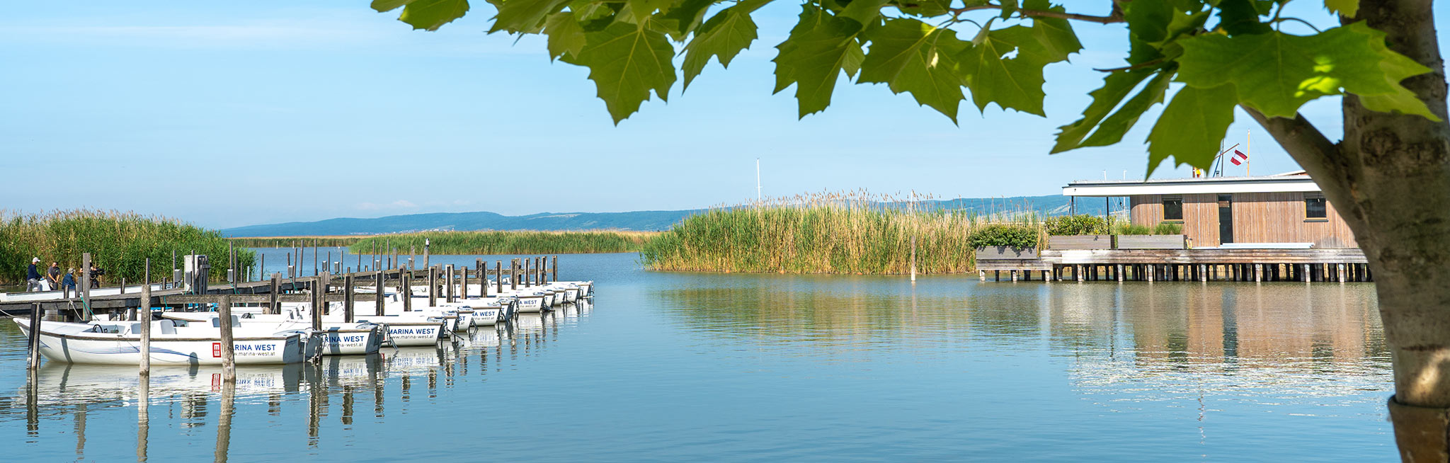 Ansicht von Neusiedl am See