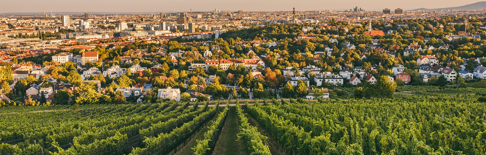 Ansicht von 18. Bezirk / Währing